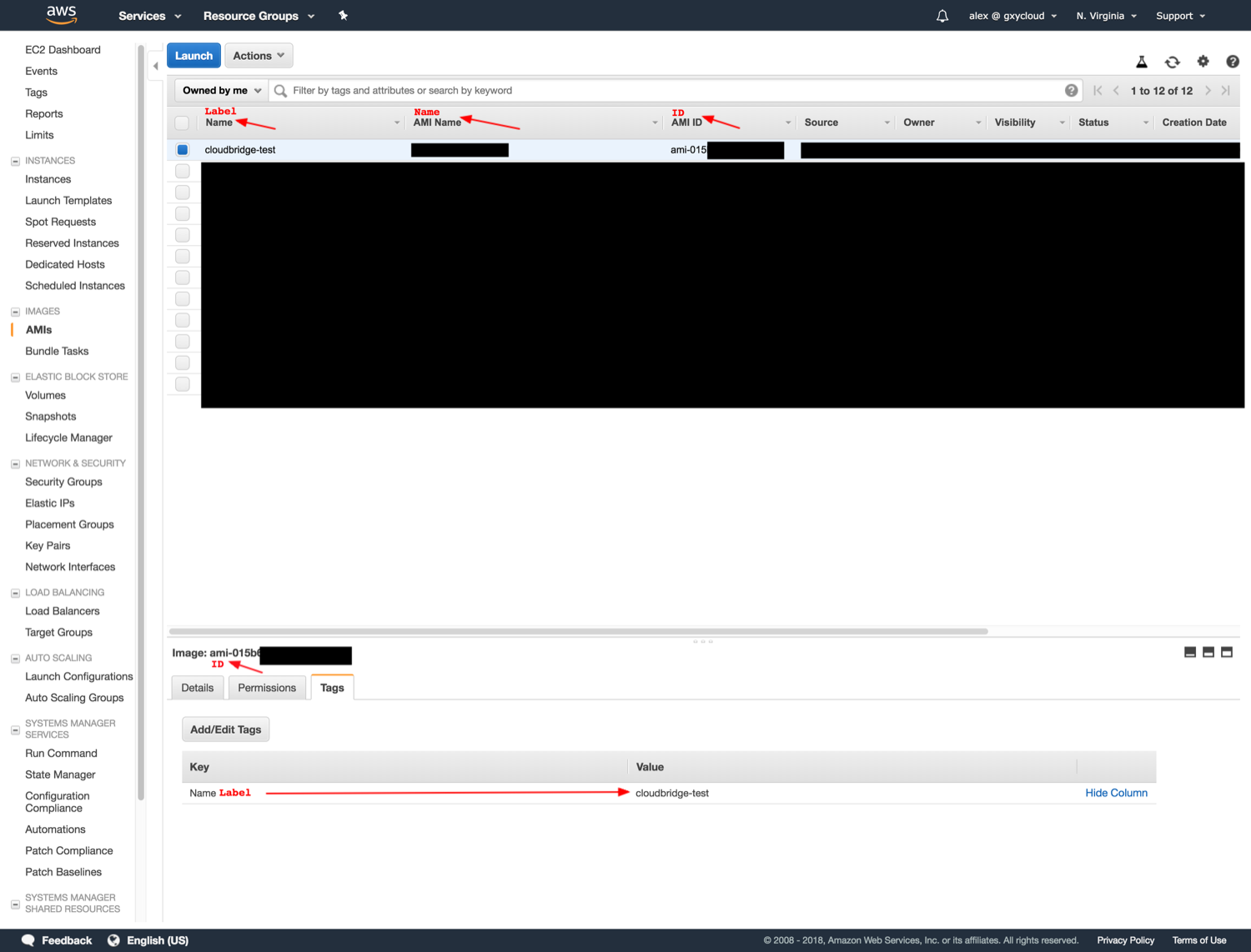 name, ID, and label properties for AWS EC2 AMIs