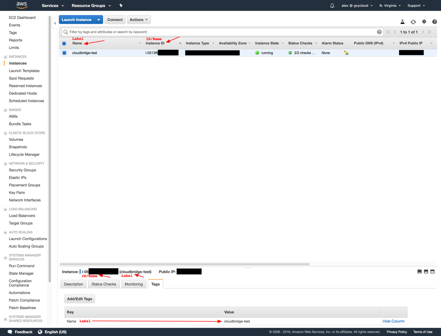 name, ID, and label properties for AWS EC2 Instances